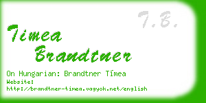 timea brandtner business card